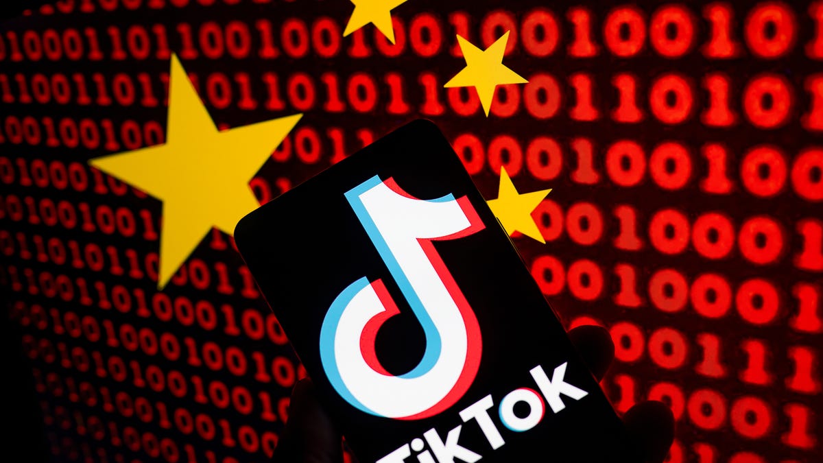 Politicians Push for TikTok Ban, Saying It’s a Threat to National Security