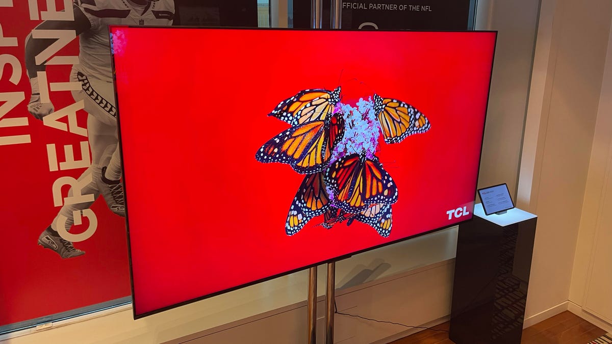 The Most Anticipated TVs of 2024 (You Can Actually Afford)