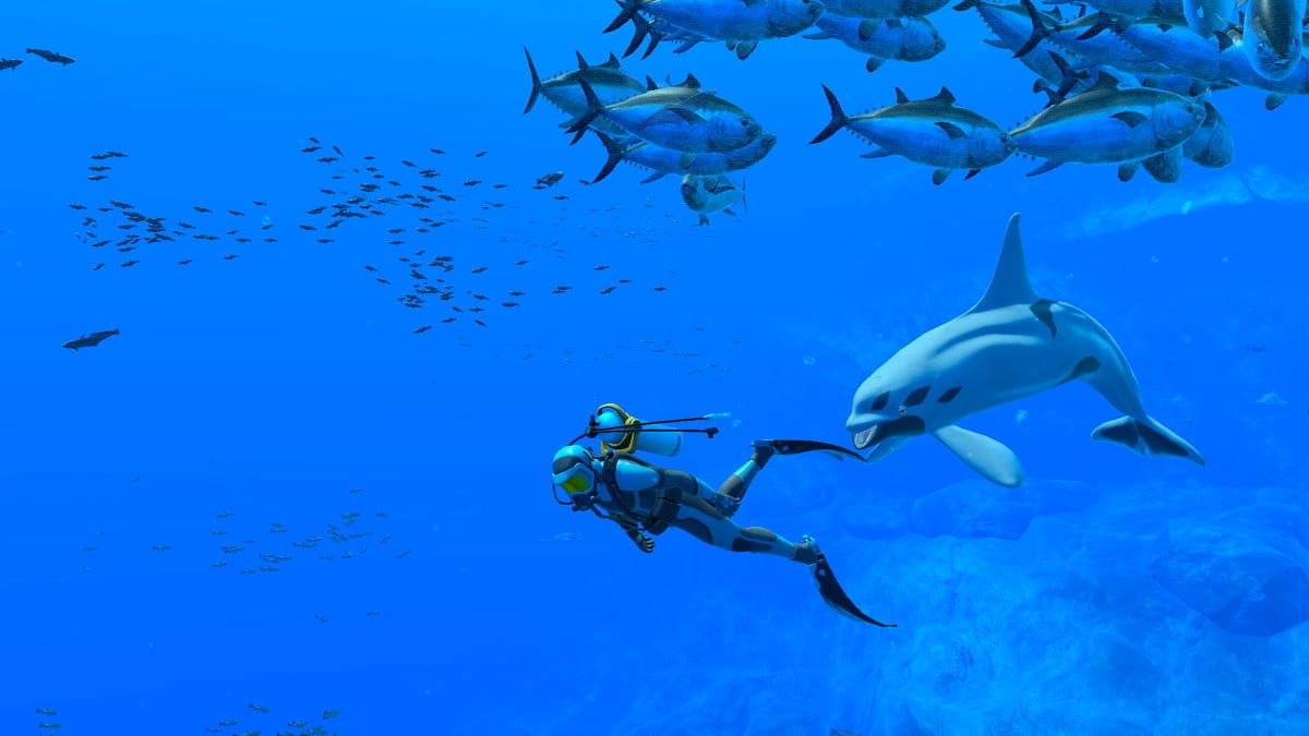 Nintendo’s Endless Ocean Game Would Be a Great VR Experience