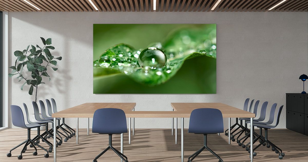 Sony unveils a 135‑inch boardroom display that turns meeting rooms into premium visual hubs